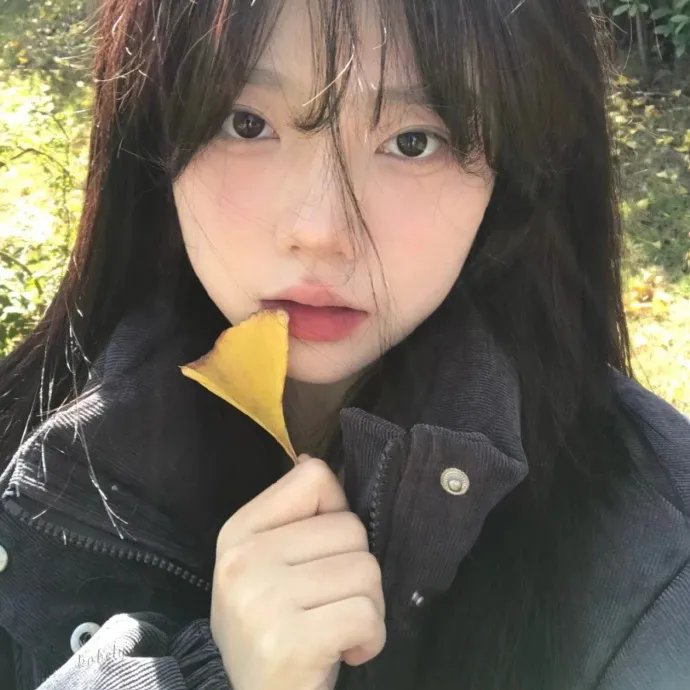 谎言之城